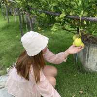 Lemon Me Farm เติมความสดชื่นกลางสวน ’เลม่อน‘