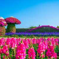   สวนเมเปิ้ล สวนดอกไม้ที่กำลังบานสวยวิวสุดอลังการ