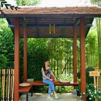 🌳 Nekoemon Cafe