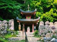 京都🇯🇵 愛宕念佛寺
