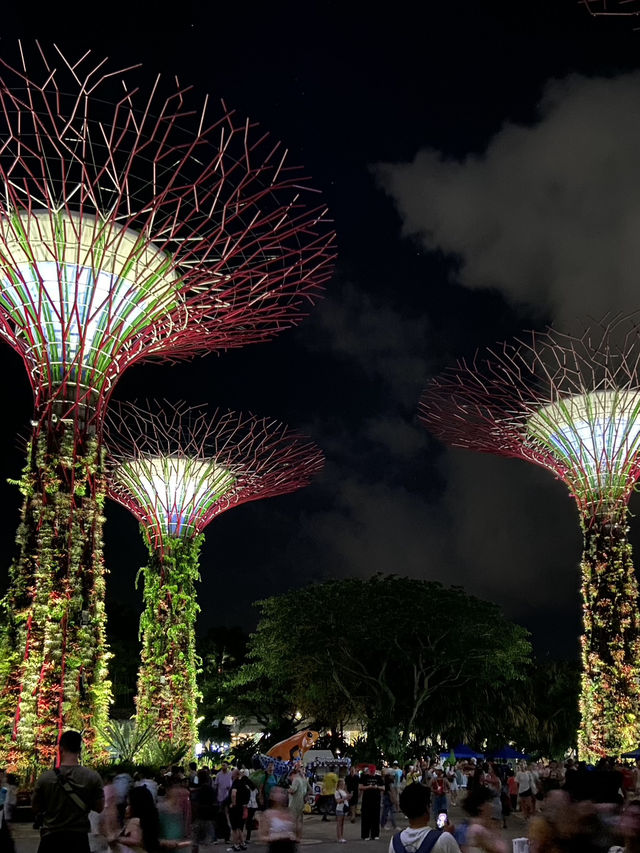 A Glimpse of Garden Rhapsody: A Symphony of Lights