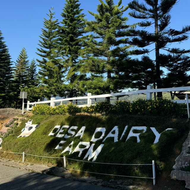 Malaysia’s Own New Zealand: Kundasang Escape🌸