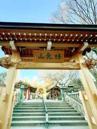 めずらしいシンボルが大根と巾着なお寺【東京/浅草】