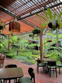 rain forest Cafe in the Hill