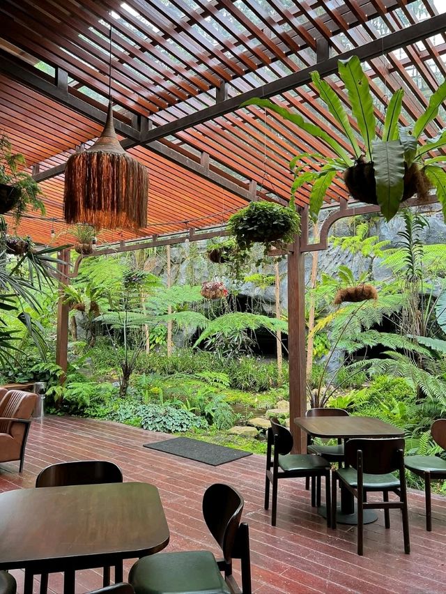 rain forest Cafe in the Hill