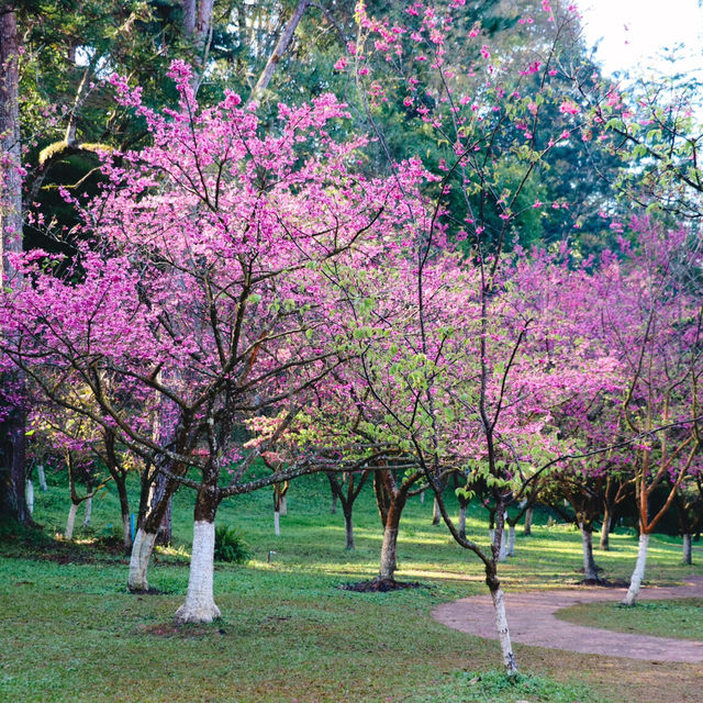 สถานีเกษตรหลวงอ่างขาง