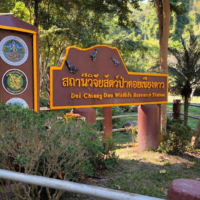 ธรรมชาติ ป่าเขา สายน้ำ ลำธาร