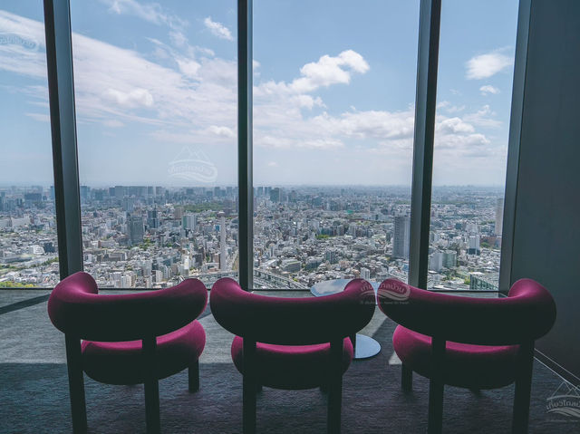Shibuya SKY ตึกสูงสุดใจกลางโตเกียว
