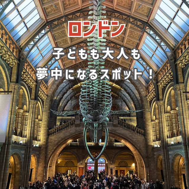 【ロンドン】子どもも大人も夢中になるスポット！🇬🇧🦖