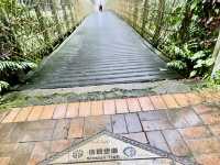 信賢步道看瀑布群輕鬆走