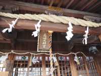 眼鏡橋傳說🤍🪨+長崎大神宮
