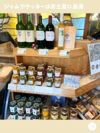 【福岡旅行】ローカルに人気の行列店！美味しい物だらけの珍しいドイツパン屋さん！