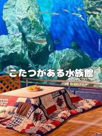 [愛知]旬スポット🐠冬の風物詩こたつに座って水槽を眺められる水族館