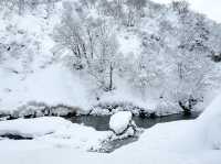 日本|雪國新瀉~越後湯澤•清津峽鏡池