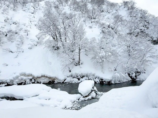 日本|雪國新瀉~越後湯澤•清津峽鏡池
