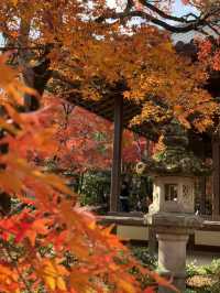 京都｜盡顯禪意之美-常寂光寺 風水布局與神佛傳說