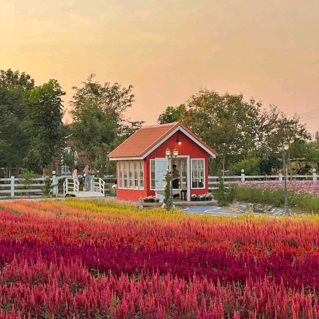 Baan Rai Nai Rung 