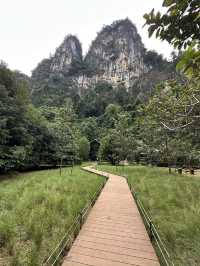 Coffee house lost in Krabi forest!