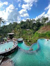 Gorgeous Pool overlooking Paddyfield 