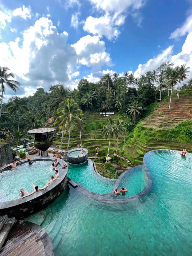 Gorgeous Pool overlooking Paddyfield 