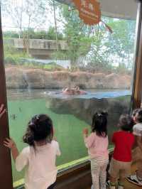 台北｜台北市立動物園