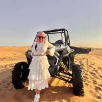 Desert Safari Adventure in a Day! 