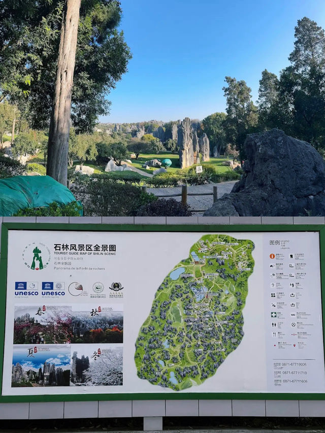 The Stone Forest Scenic Area