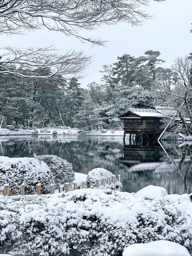 【金沢】幻想的な雪景色の兼六園