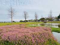 后里環保公園：放空遛小孩好去處