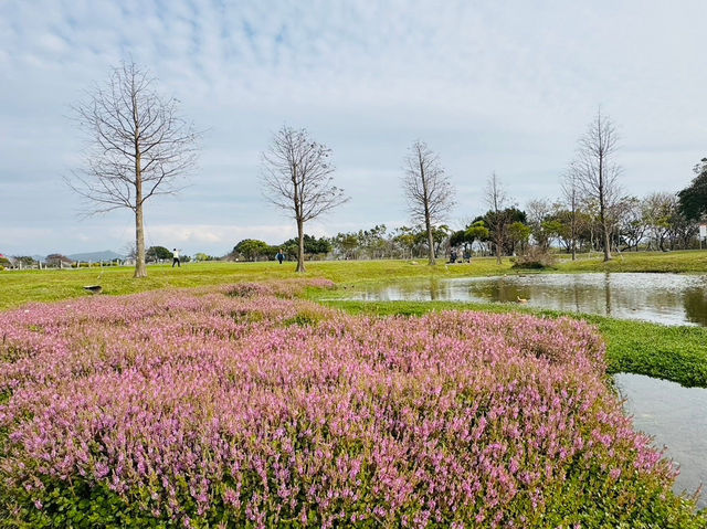 后里環保公園：放空遛小孩好去處