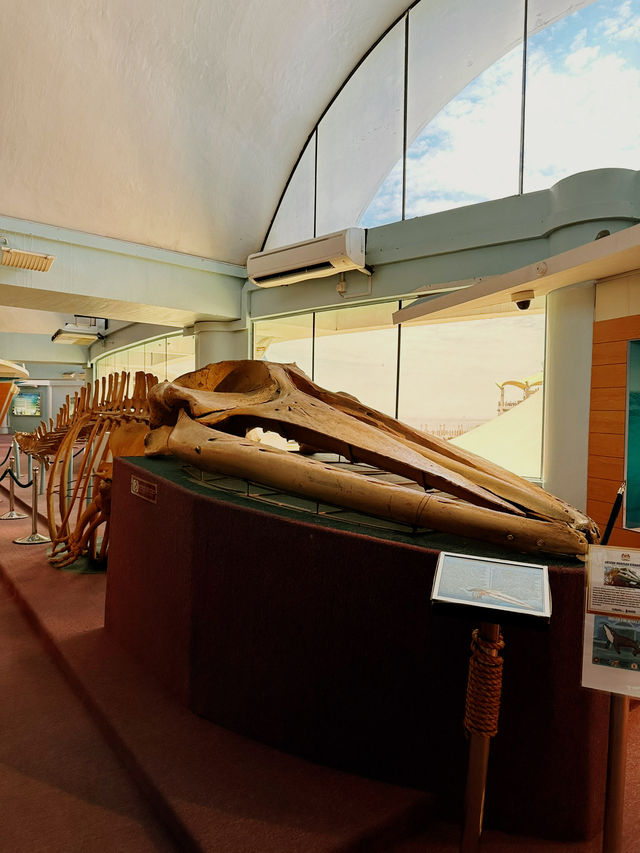Dive into History at Labuan Marine Museum