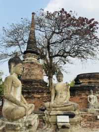 วัดใหญ่ชัยมงคล สถานที่ศักดิ์สิทธิ์ที่ต้องมา