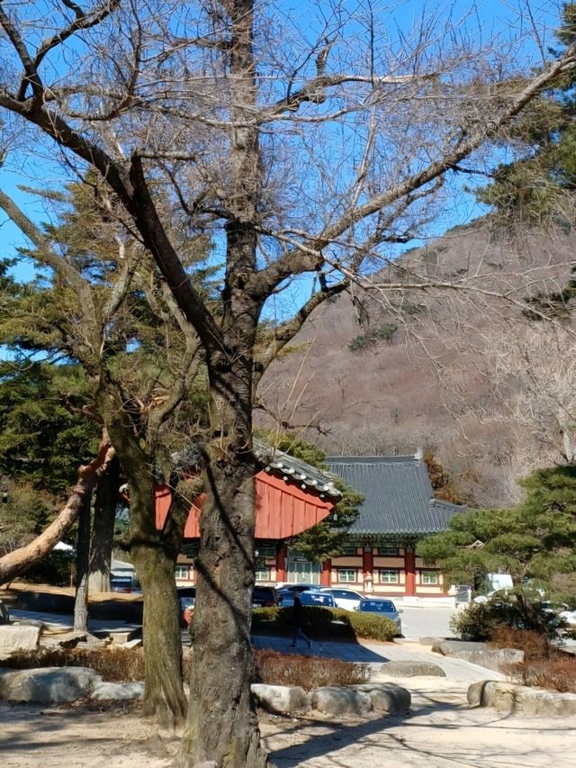 부산·경남 지역을 대표하는 운치 있는 사찰