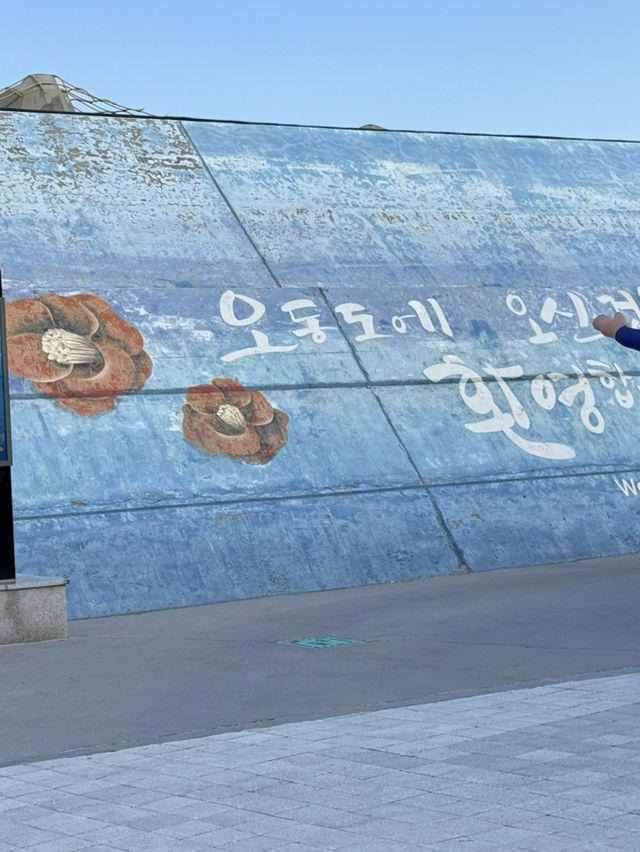 겨울 여수 여행지 오동도 🌺