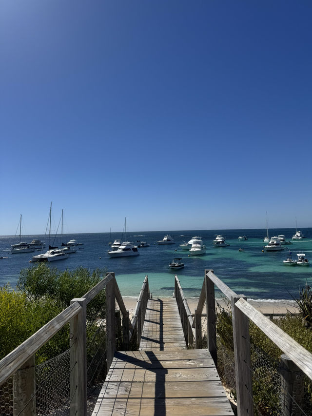 Lost in Summer Paradise of Longreach Bay Guide, Rottnest Island