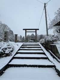 Winter Serenity at Matsushiro Castle