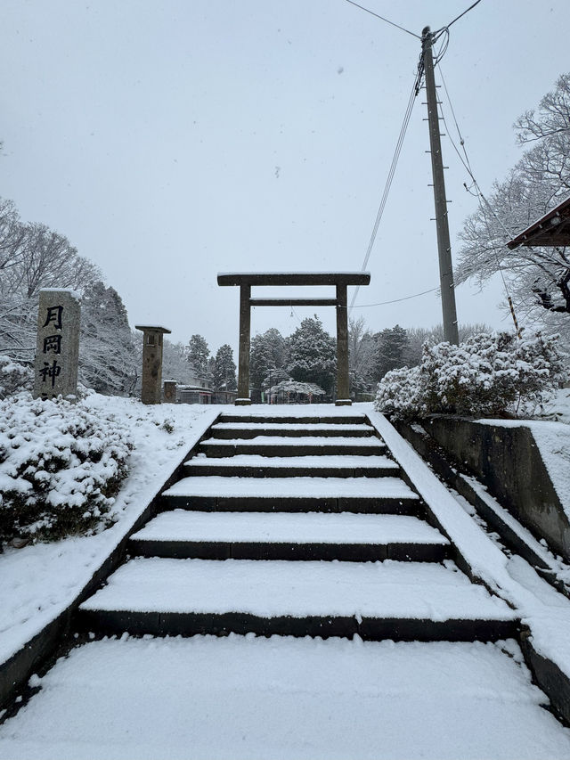 Winter Serenity at Matsushiro Castle