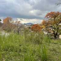 8 Days in Fukuoka