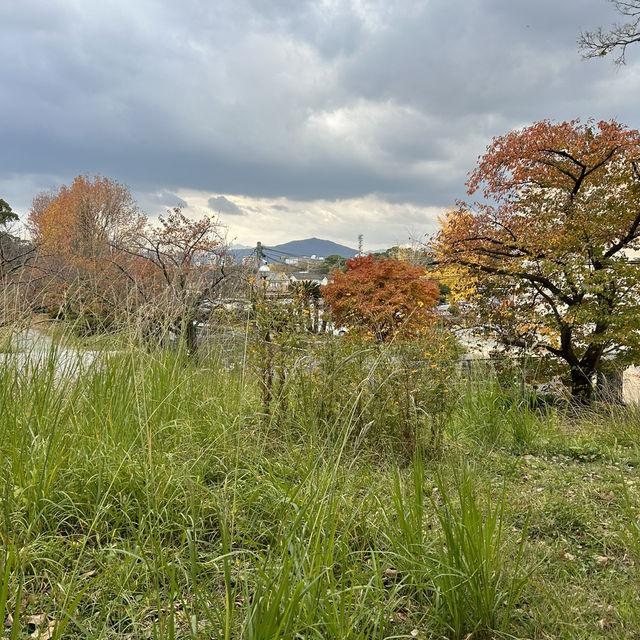 8 Days in Fukuoka