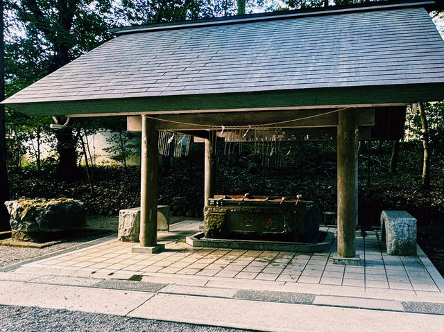 天岩戸神社西本宮で神秘体験⛩✨