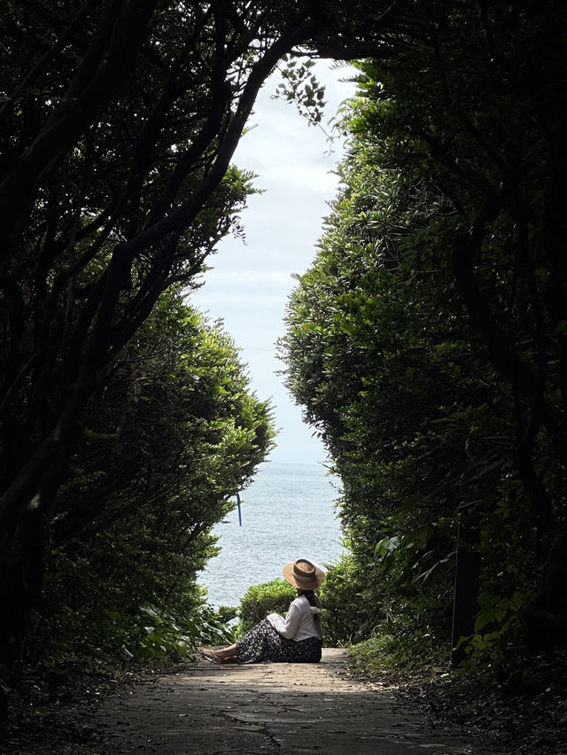 제주에 숨겨진 한반도 포토존 🇰🇷