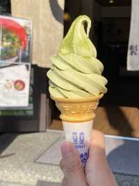 宇治 & 伏見稻荷大社一日遊