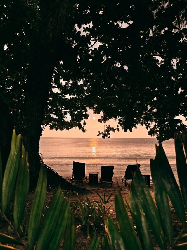 🌴 Escape to Paradise: Pangkor Laut Resort, Malaysia 🌴