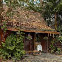Grindsize Evergreen CNX • Chiangmai 