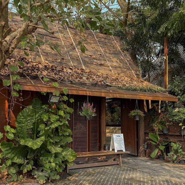 Grindsize Evergreen CNX • Chiangmai 