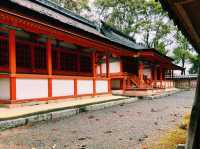 歴代天皇ゆかりの格式高い神社⛩️✨