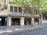 Visiting Wukang Road, Shanghai – A Charming Historic Street✨