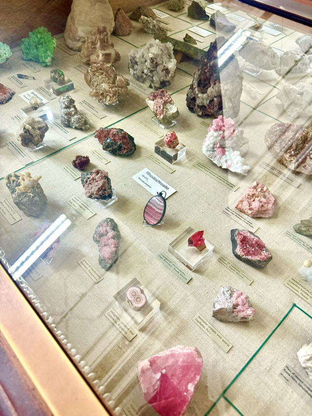 🦖 Visiting the Natural History Museum, London – Essential Tips!
