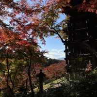 Red Kiyomizu