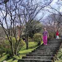 陽明山國家公園 (Yangmingshan National Park)